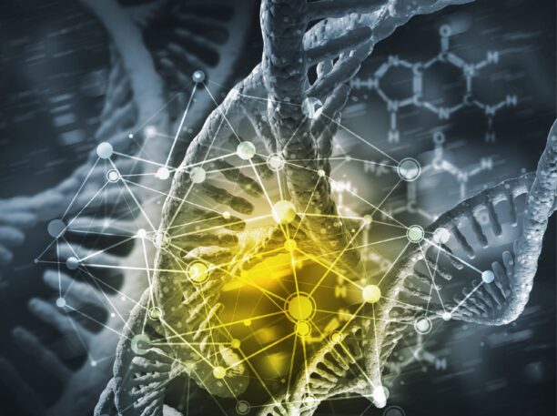 Scientists at the Weizmann Institute Teach the Immune System to Target Aging Cells Scientists at the Weizmann Institute Teach the Immune System to Target Aging Cells
