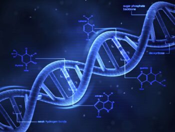 First Fully Functional "Speech Genome" Identified in Human DNA