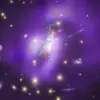 Phoenix Galaxy Cluster: A Stellar Outburst Driven by Cooling