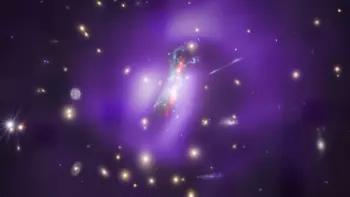 Phoenix Galaxy Cluster: A Stellar Outburst Driven by Cooling