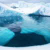A Natural Capsule of Future Life Discovered Beneath Antarctica’s Ice