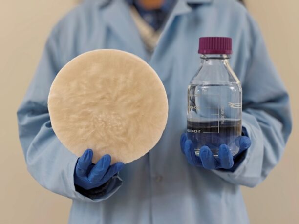 New Biomass Sorbent Generates Up to 14 Liters of Water from Air