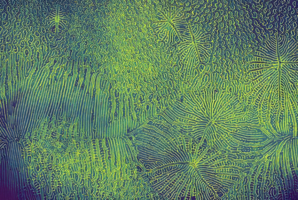 Breakthrough in Light ‘Twisting’ Could Revolutionize Electronics, Including OLEDs and Night Vision