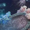 Cell Power Plants: Molecular Machines for Efficient Energy Production