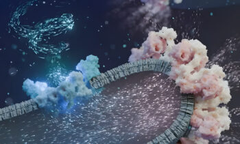 Cell Power Plants: Molecular Machines for Efficient Energy Production