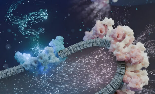 Cell Power Plants: Molecular Machines for Efficient Energy Production