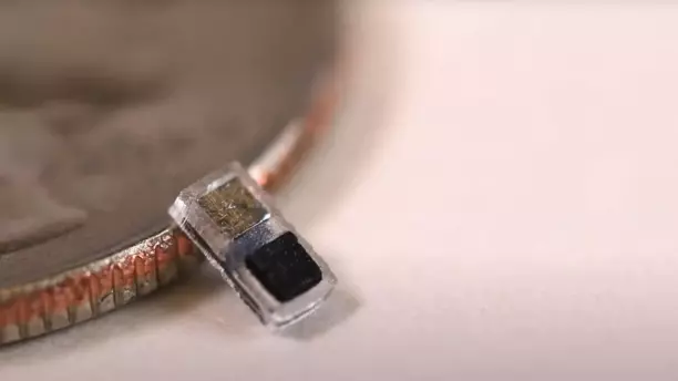 Engineers Develop World's Smallest Bioabsorbable Pacemaker — Smaller Than a Grain of Rice