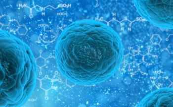 The Mystery of Intercellular Mitochondrial Transport Solved