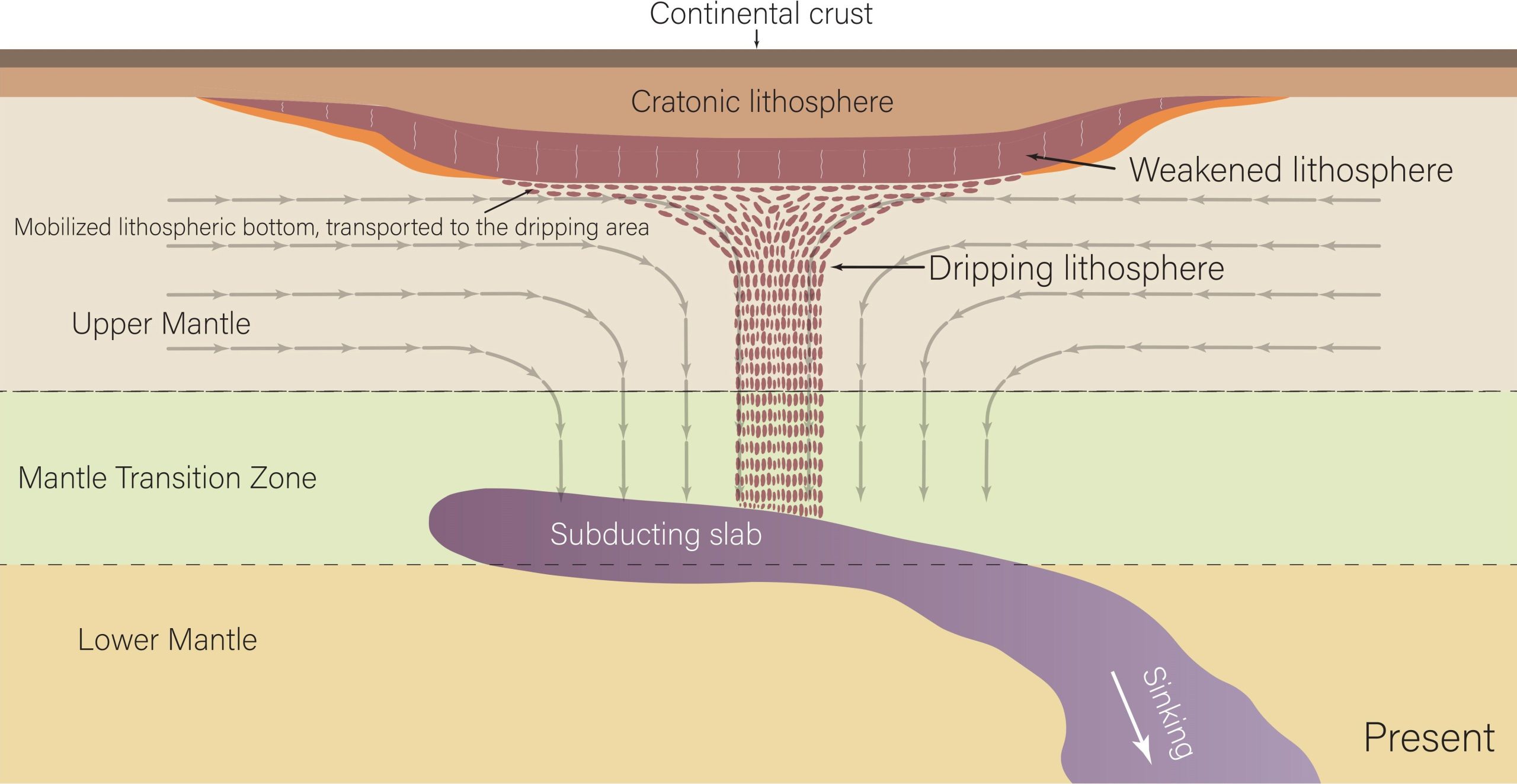 North America Is “Dripping” into Earth’s Mantle