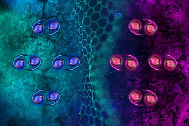 Double Anomaly: How Graphene Was Engineered to Be Both a Magnet and a Superconductor