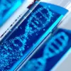 “Quantum Leap” in Evolution: Technology That Does in a Day What Nature Takes Centuries to Achieve